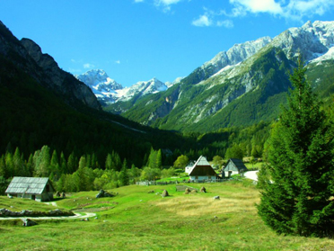 Log Čezsoški ali Kako uporabne so lahko plastične vrečke